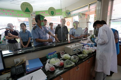 食用農產品抽檢全合格，人大代表政協委員現場見證助力零售安全
